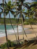Plage de Tangalle